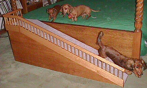 doxie ramp